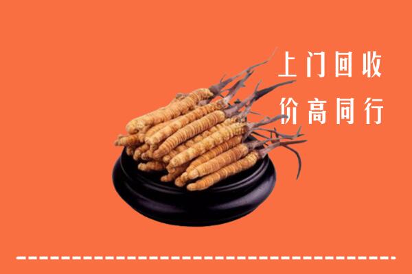 高价求购：兴海县回收散虫草