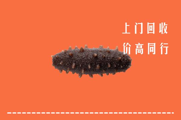 高价求购：兴海县回收海参