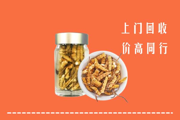 兴海县回收冬虫夏草