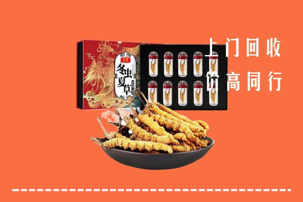 兴海县回收虫草